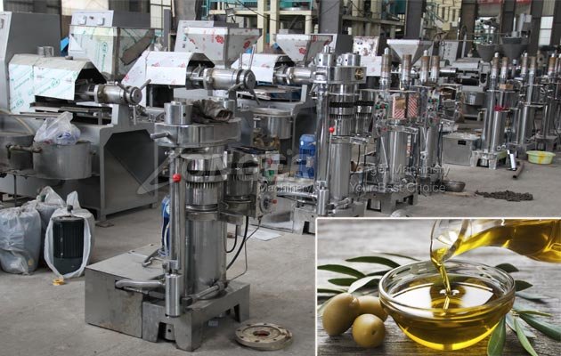 Olive Oil Cold Press Process