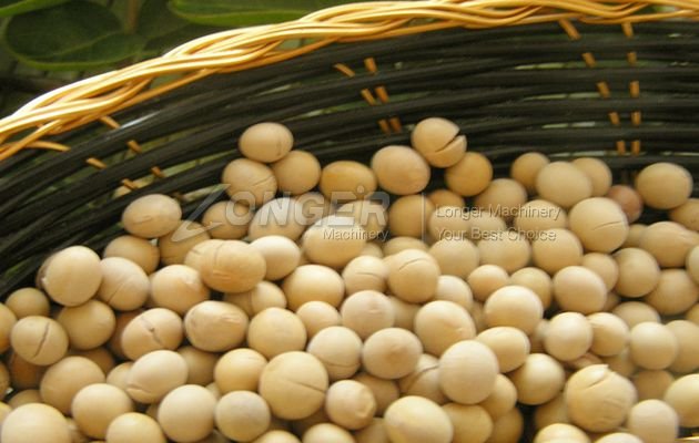soybean roasted soybean roasted